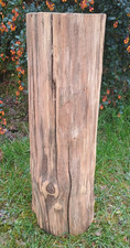 Tree stump table hardwood log